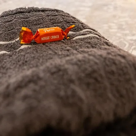 Appartement Monteurwohnung Sporbitzer Stuebchen *